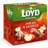 Loyd Tea pyramída jablko + škorica 45g Loyd Tea pyramída jablko + škorica 45g
