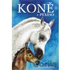 Koně + pexeso - Tereza Šrámková Koně + pexeso - Tereza Šrámková