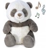 Cloud b Peaceful Panda Zvieratko s melódiou Panda Cloud b Peaceful Panda Zvieratko s melódiou Panda