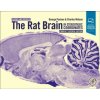 Rat Brain in Stereotaxic Coordinates: Compact (George Paxinos)(Krúžková) Rat Brain in Stereotaxic Coordinates: Compact (George Paxinos)(Krúžková)