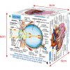 Zoobookoo Kniha v kocke Ľudské telo Zoobookoo Kniha v kocke Ľudské telo