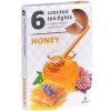 Admit Tea Lights Honey 6 ks Admit Tea Lights Honey 6 ks