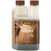 BioCanna BioBoost 250 ml