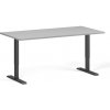 Výškovo nastaviteľný stôl, 160x80 cm, 2 motory, čierna podnož, sivá Výškovo nastaviteľný stôl, 160x80 cm, 2 motory, čierna podnož, sivá