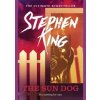 Sun Dog - Stephen King, Hodder Paperbacks Sun Dog - Stephen King, Hodder Paperbacks