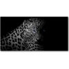 Fotoobraz na skle leopard 100x50 cm Fotoobraz na skle leopard 100x50 cm