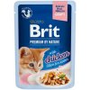 Brit Premium by Nature Cat Delicate Fillets in Gravy with Chicken for Kitten 85 g Brit Premium by Nature Cat Delicate Fillets in Gravy with Chicken for Kitten 85 g