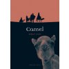 Irwin Robert - Camel Irwin Robert - Camel