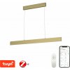 LED svetlo IMMAX NEO LISTON Smart závesné svietidlo 118cm 18W zlaté Zigbee 3.0 (07128L) LED svetlo IMMAX NEO LISTON Smart závesné svietidlo 118cm 18W zlaté Zigbee 3.0 (07128L)