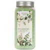 Bohemia Gifts & Cosmetics Sol do kupela 900 g s extraktom z medovky (BC240039) Bohemia Gifts & Cosmetics Sol do kupela 900 g s extraktom z medovky (BC240039)