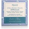 Praxis Laboratorios Hyaluronic Praxis Ampoules 6 x 2 ml