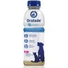 Livisto ORALADE GI SUPPORT 500 ML elektrolyty s prebiotikami pre psy a mačky Livisto ORALADE GI SUPPORT 500 ML elektrolyty s prebiotikami pre psy a mačky