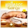 VAR - Wellness Feelings (2 CD) VAR - Wellness Feelings (2 CD)