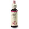 ORIGINAL BACH® Oak 20 ml ORIGINAL BACH® Oak 20 ml