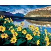 ZUTY Maľovanie podľa čísel - ŽLTÉ KVETY PRI HORSKOM JAZERE (DENNIS FRATES) Rámovanie: vypnuté plátno na rám, Rozmer: 80x100 cm ZUTY Maľovanie podľa čísel - ŽLTÉ KVETY PRI HORSKOM JAZERE (DENNIS FRATES) Rámovanie: vypnuté plátno na rám, Rozmer: 80x100 cm