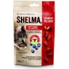 Shelma bezobilné hovädzie a čučoriedka 60 g Shelma bezobilné hovädzie a čučoriedka 60 g