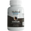 Medveď natural Chaga 30 kapsúl Medveď natural Chaga 30 kapsúl