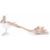 Strend Pro Dekorácia MagicHome Vianoce, Páv, zlatý, páperový, 50x20x23 cm Strend Pro Dekorácia MagicHome Vianoce, Páv, zlatý, páperový, 50x20x23 cm