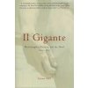 Il Gigante: Michelangelo, Florence, and the David 1492-1504 Il Gigante: Michelangelo, Florence, and the David 1492-1504