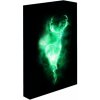 Paladone Svietiaci obraz Harry Potter - Patronus Paladone Svietiaci obraz Harry Potter - Patronus