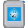 HESI Hydro růst 10L