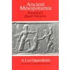 Ancient Mesopotamia - Portrait of a Dead Civilization (Leo A. Oppenheim)(Brožovaná) Ancient Mesopotamia - Portrait of a Dead Civilization (Leo A. Oppenheim)(Brožovaná)
