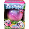 Spin Master HATCHIMALS BLOOMABLES PÚPE S PREKVAPENÍM MAČIATKA Spin Master HATCHIMALS BLOOMABLES PÚPE S PREKVAPENÍM MAČIATKA
