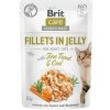 Brit Care Cat Fillets in Jelly with Trout & Cod 85g Brit Care Cat Fillets in Jelly with Trout & Cod 85g