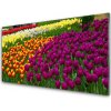 Nástenný panel Tulipány kvety 100x50 cm Nástenný panel Tulipány kvety 100x50 cm