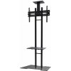 Neomounts PLASMA-M1700ES / Mobile Flat Screen Floor Stand (height: 147-163 cm) box 1/2 / Black PLASMA-M1700ES Neomounts PLASMA-M1700ES / Mobile Flat Screen Floor Stand (height: 147-163 cm) box 1/2 / Black PLASMA-M1700ES