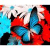 Gaira Malovanie podľa čísel Motýl Gaira Malovanie podľa čísel Motýl
