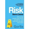 Risk - Steve Casner Risk - Steve Casner