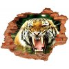 Fototapeta diera na stenu Revúci tiger 90x70 cm Fototapeta diera na stenu Revúci tiger 90x70 cm