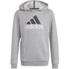 Sweatshirt adidas Big Logo 2 Hoody Jr. HB4362 (116803) Black 152 cm Sweatshirt adidas Big Logo 2 Hoody Jr. HB4362 (116803) Black 152 cm
