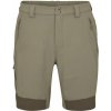 RAB Torque Mountain shorts