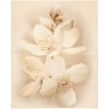 Cersanit Diana Flower obklad-dekor 50x40x0,8 cm lesklý W797-013 Cersanit Diana Flower obklad-dekor 50x40x0,8 cm lesklý W797-013