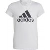 T-shirt adidas Big Logo Tee Jr IC6121 (129363) Black/Green 128 cm T-shirt adidas Big Logo Tee Jr IC6121 (129363) Black/Green 128 cm