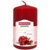 Provence Brusnica 11 cm