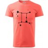Súhvezdie - Gemini - Blíženci - Klasické pánske tričko vyššej gramáže - 2XL ( Korálová ) Súhvezdie - Gemini - Blíženci - Klasické pánske tričko vyššej gramáže - 2XL ( Korálová )