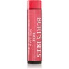 Burt’s Bees Tinted Lip Balm balzam na pery odtieň Rose 4.25 g Burt’s Bees Tinted Lip Balm balzam na pery odtieň Rose 4.25 g