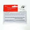 EyelaShes Medium umelé riasy čierné 60 trsů 14110-M EyelaShes Medium umelé riasy čierné 60 trsů 14110-M