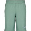 Puma ESS 2 COLOR LOGO SHORT Zelená