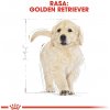 ROYAL CANIN Golden Retriever Puppy - suché krmivo pro psy - 12 kg ROYAL CANIN Golden Retriever Puppy - suché krmivo pro psy - 12 kg