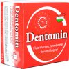 Geoproduct Dentomin Prírodný minerálny zubný prášok bez fluóru (95g) Geoproduct Dentomin Prírodný minerálny zubný prášok bez fluóru (95g)