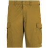 Regatta Ruwan Shorts hnedá