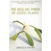 Healing Power of Celtic Plants (Angela Paine)(Brožovaná) Healing Power of Celtic Plants (Angela Paine)(Brožovaná)