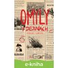 E-kniha Omyly v dejinách - Viktória Hladká a Vladimír Koppan E-kniha Omyly v dejinách - Viktória Hladká a Vladimír Koppan