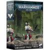 GW Warhammer 40000: Blood Angels Sanguinary Priest
