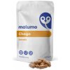 Malumo Chaga Extrakt Počet kapsúl: 240ks Malumo Chaga Extrakt Počet kapsúl: 240ks