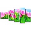 Sablio Obraz - 5-dílný Ružové tulipány - 100x60 cm Sablio Obraz - 5-dílný Ružové tulipány - 100x60 cm